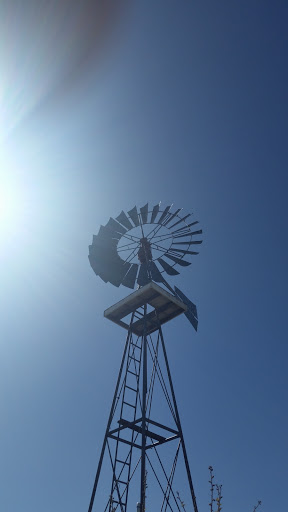 Guadalupe Windmill