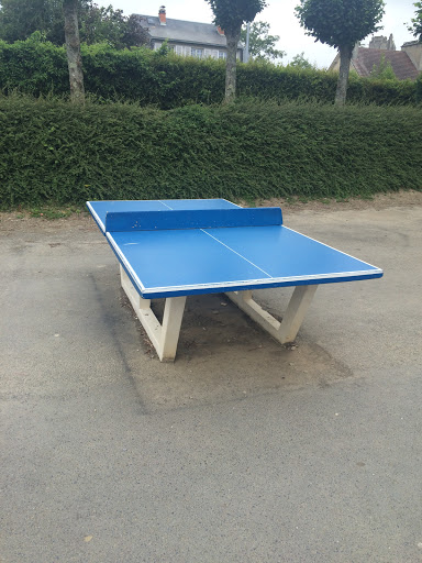 Table De Ping-pong 