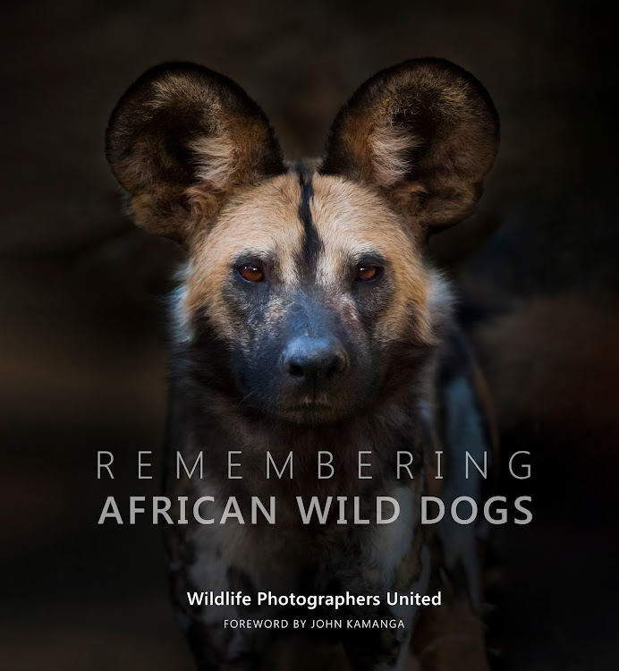 ‘Remembering African Wild Dogs’ by Wildlife Photographers United.