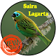 Download Canto De Saíra Lagarta For PC Windows and Mac 1.0