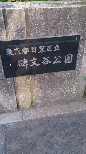 碑文谷公園 西側