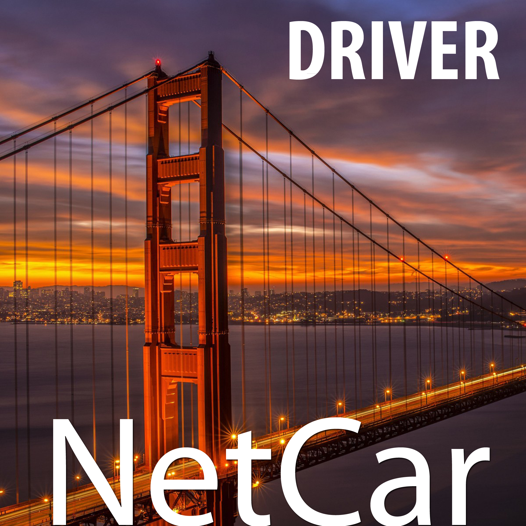 Android application NetCar Driver screenshort