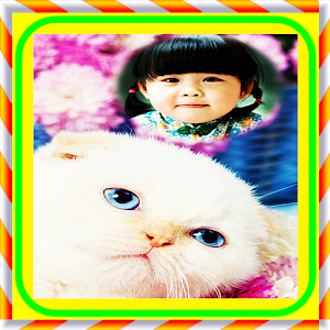 Download Kitty Cat Cute Photo Frames For PC Windows and Mac