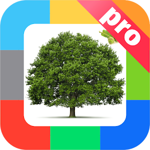 Download Развивающие карточки Деревья. For PC Windows and Mac