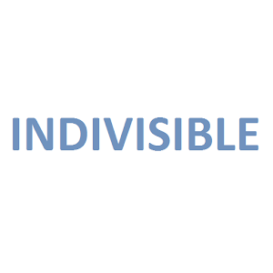 Download Indivisible Movement Guide For PC Windows and Mac