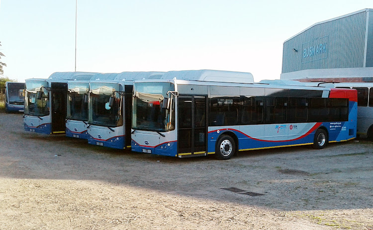 'Drivers' strike' leaves bus passengers stranded in Cape Town.