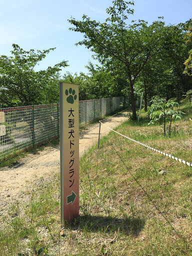 大型犬ドッグラン