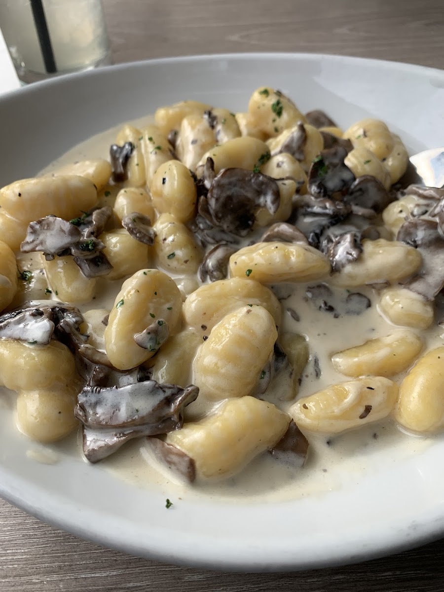 Gluten-Free Gnocchi at Bencotto