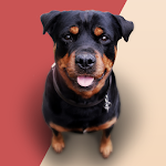 Barking Dog Sounds Apk