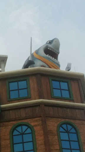 楼顶的鲨鱼
