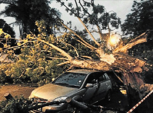 FELLED: Charlene Charles, @rainbowgored posted this picture on Instagram. The tree had crushed three cars