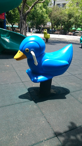 精華公園藍色小鴨