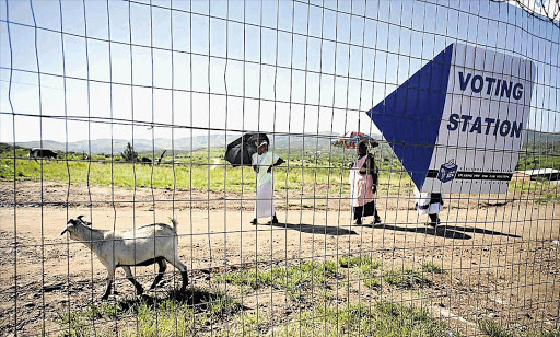 MAKING THEIR MARK: People from the rural town of Nkandla, about 300km north of Durban, on the way to vote in a local election yesterday