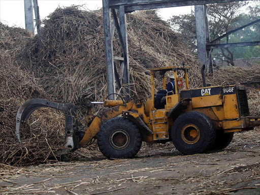 A tractor arranges sugar cane stalks at an open yard within the Mumias sugar factory in western Kenya February 24, 2015. Photo/REUTERS