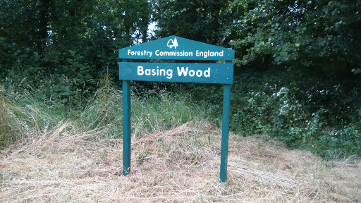 Basing Wood