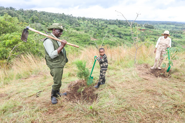 President William Ruto with First Lady Mama Rachel Ruto and a young boy during national tree planting exercise at Kiambicho Forest Karua Hill A, Murang'a County on May 10, 2024.