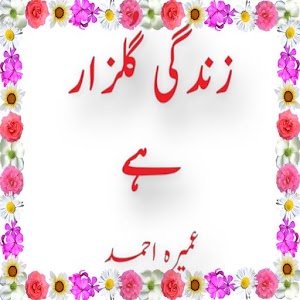Zindagi Gulzaar hai.apk 1.1