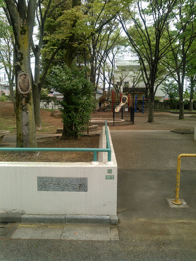 六月中央公園