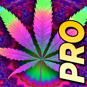 Download Psychedelic Marijuana Live Wallpaper For PC Windows and Mac