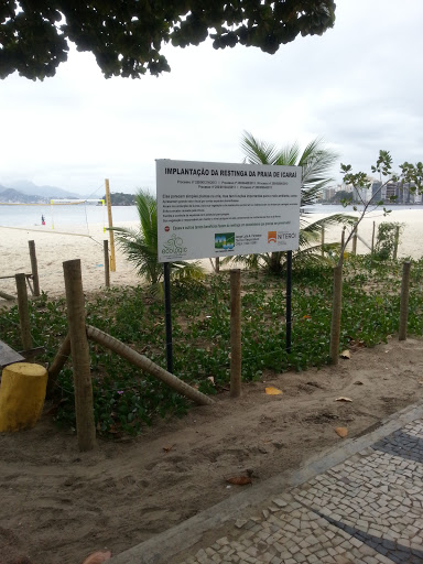 Restinga Praia De Icarai