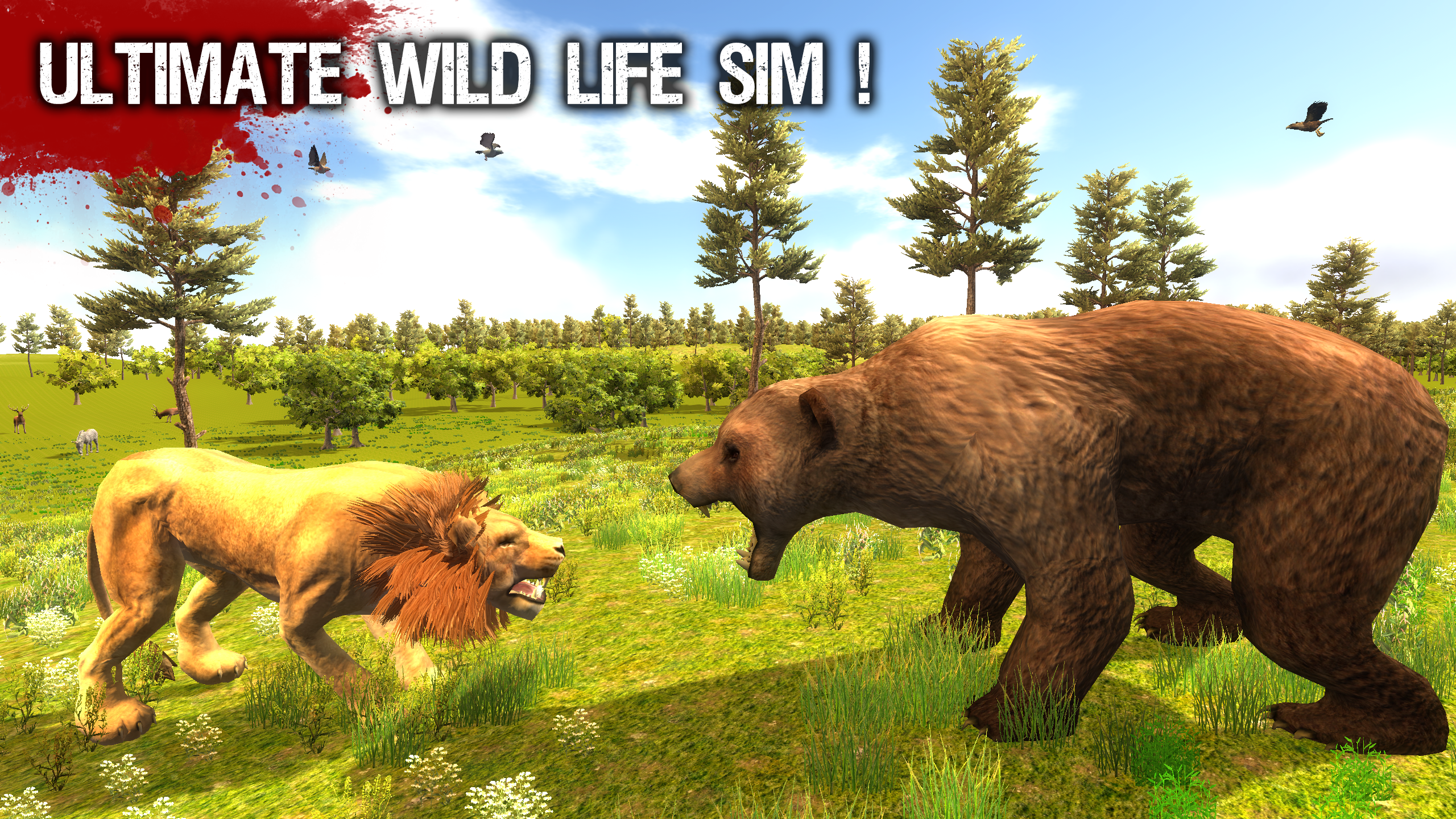 Android application Wild Life - Lion screenshort