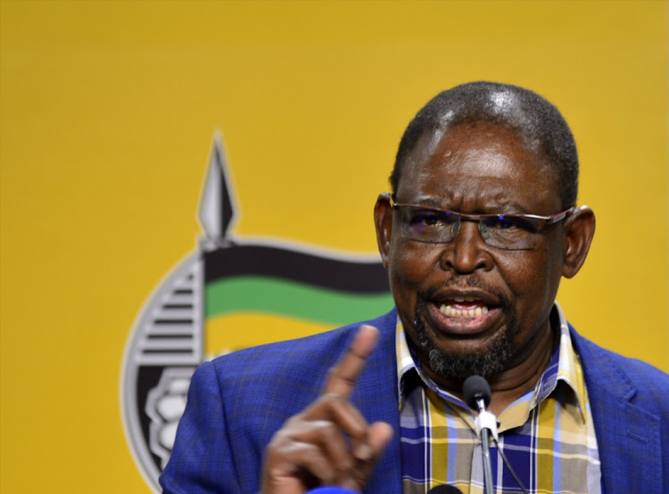 ANC economic transformation chairperson Enoch Godongwana has reassured that any expropriated land under the ANC would go directly to the people‚ "not via the government" as the EFF proposed.