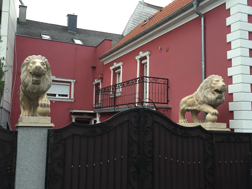 Two Lions