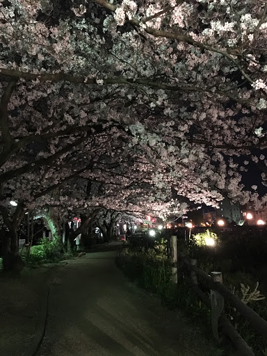 袋川緑地道標