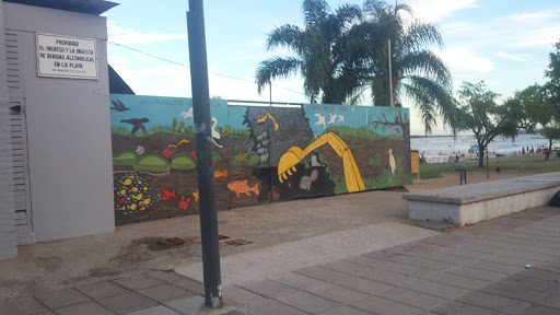 Mural Cuidemos El Rio