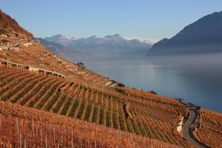 Lavaux, Switzerland.