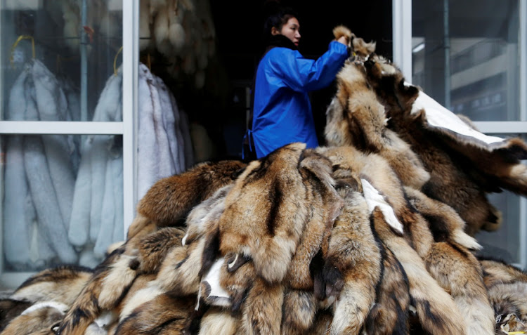 A woman moves raccoon fur pelts outdoor at a fur market in Chongfu, Zhejiang province, China, December 14 2017. Picture: REUTERS/William Hong