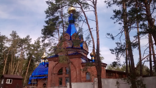 Church in the Forest