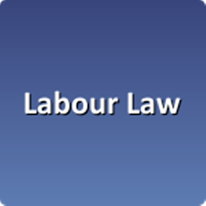 Download Labour Law Support For PC Windows and Mac