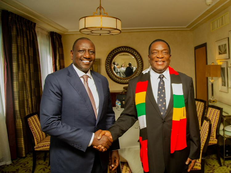 President William Ruto and his Zimbabwean counterpart Emmerson Mnangagwa in Dakar, Senegal on the sidelines of the Feed Africa Summit.