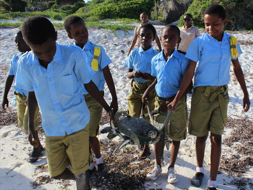 Marine Scouts training with NGO Local Ocean Conservation carry green sea turtle Kai to release her into the Indian Ocean, on Short Beach, Watamu, Kenya, December 2, 2017. /THOMSON REUTERS FOUNDATION
