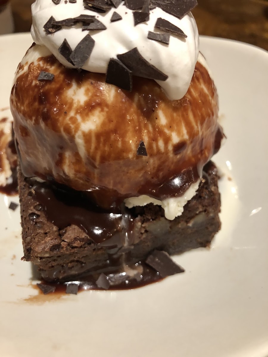 Thunder From Down Under Chocolate Brownie