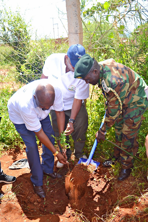 Kitui county forest conservator Charles Kavithi plants a tree during International Forest Day celebrations at Kalivu.