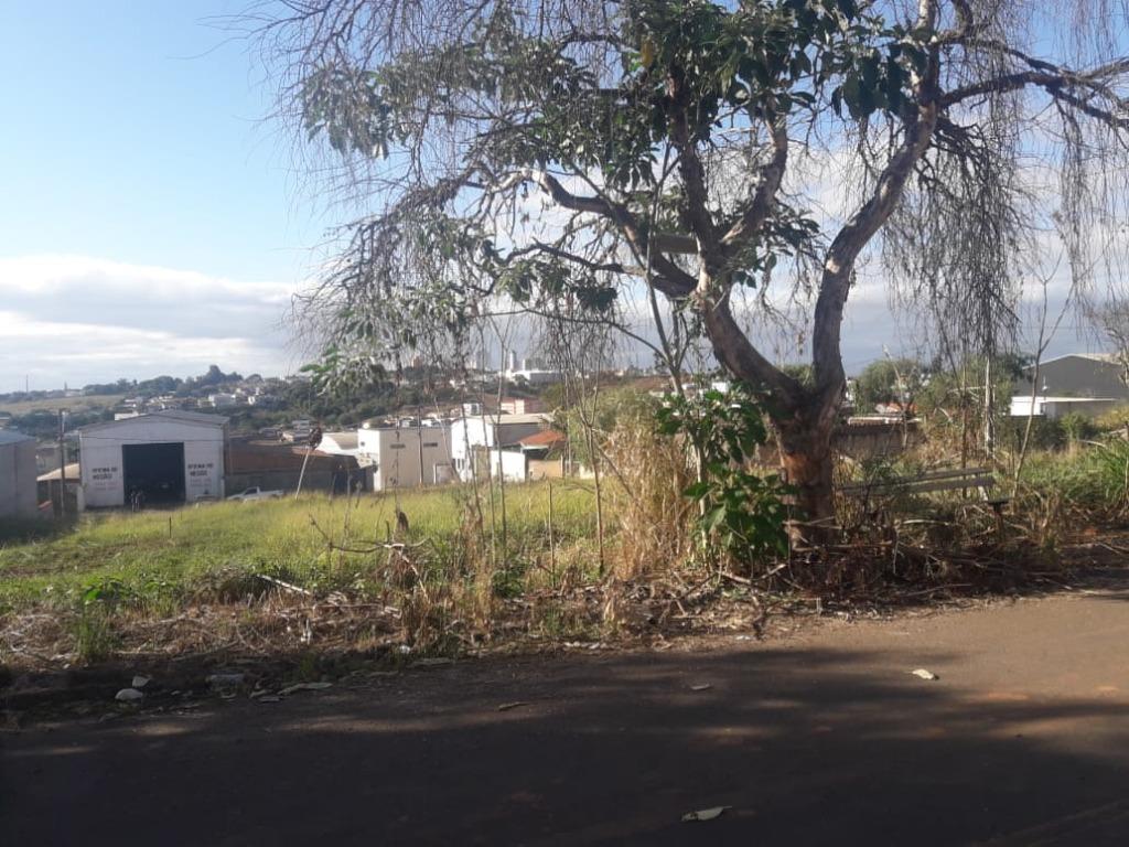 Terrenos à venda Jardim Aeroporto