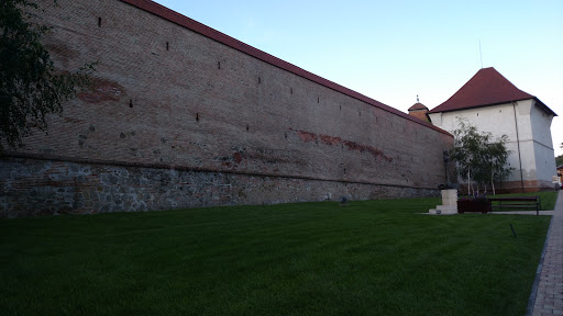Vechea Cetate - Zidul