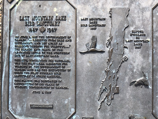 LAST MOUNTAIN LAKE BIRD SANCTUARY 1997-1987On June 8,1887 the government of Canada "...reserved from sale and settlement, and set apart as breeding grounds for wildfowl..." the islands and parts...