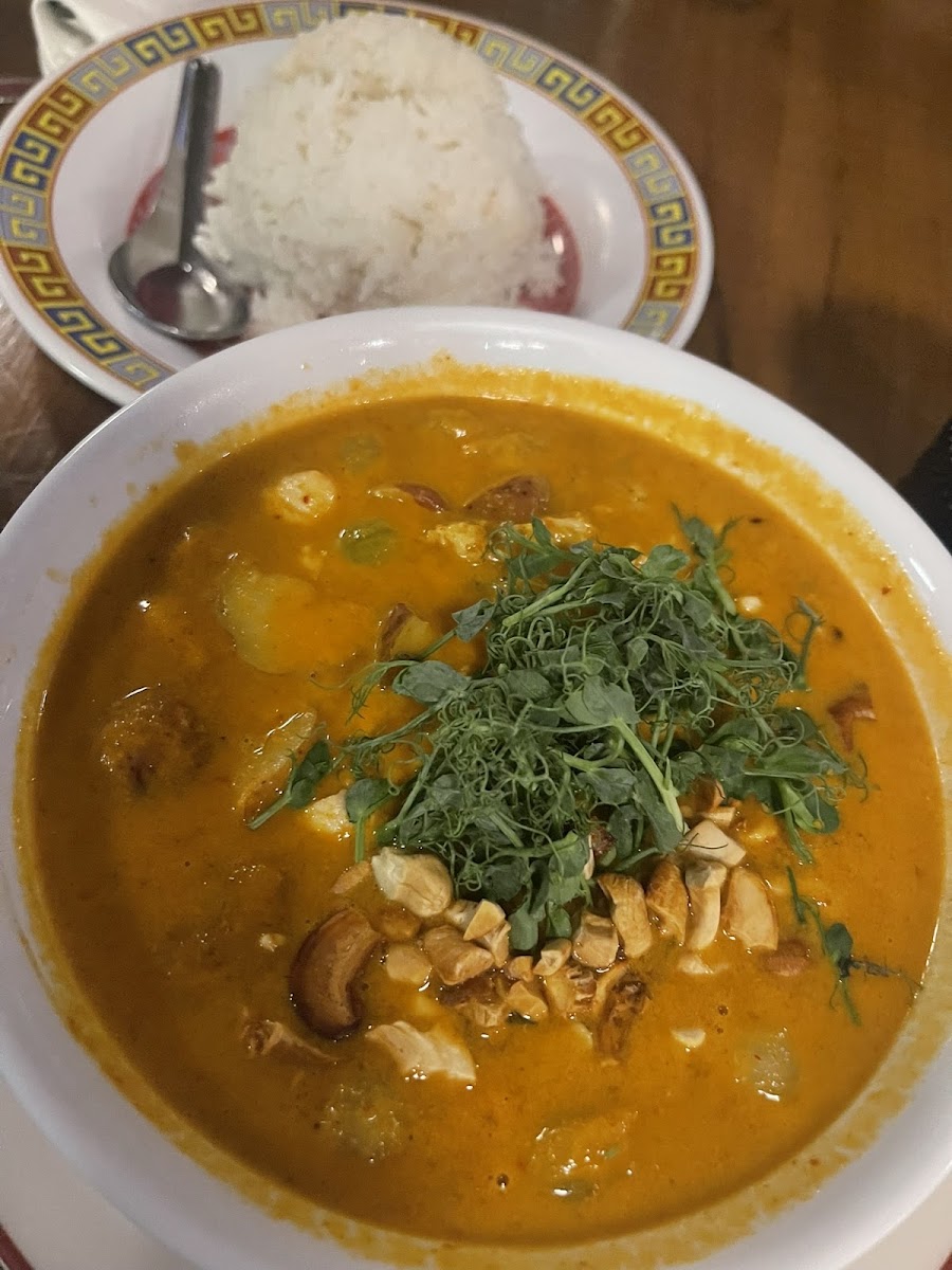 Massaman curry with chicken added