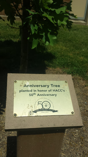 Anniversary Tree