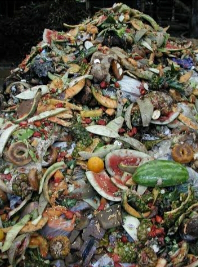 A heap of food waste lying outside a market