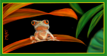 Red-eyed tree frog