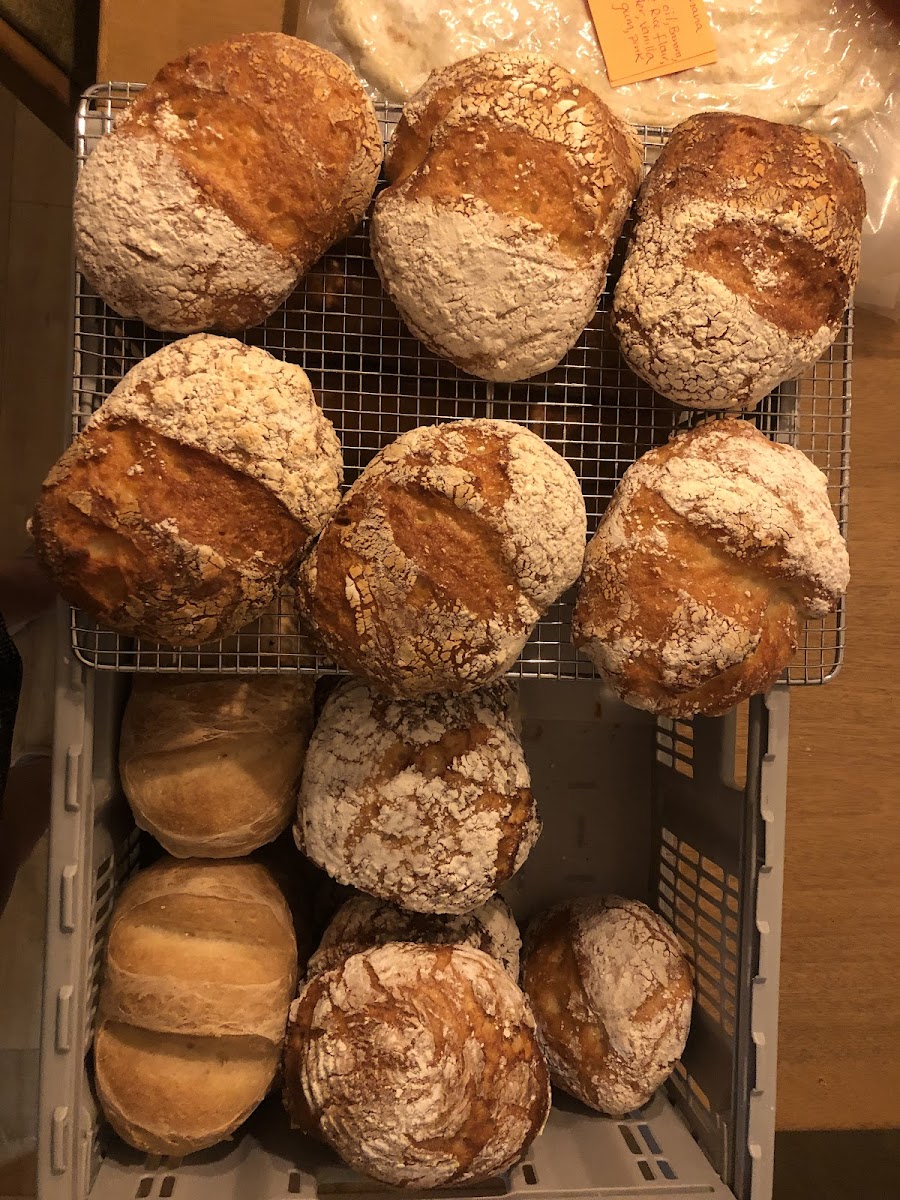 Gluten-Free at Bread-ish