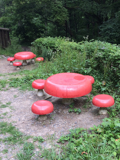 mushroom bench