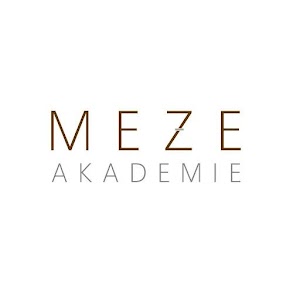 Download Meze Akademie For PC Windows and Mac