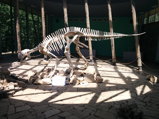 Dino Skeleton