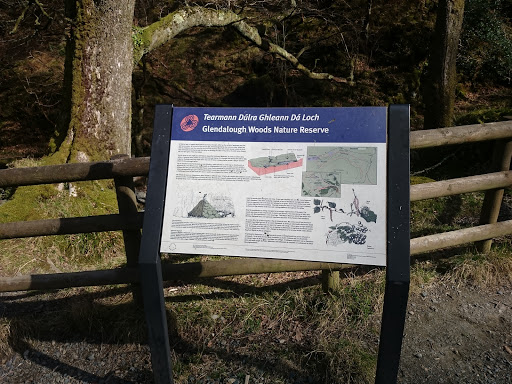 Glendalough Woods Nature Reserve 