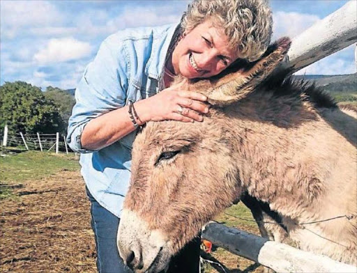 MANE MAN: Photographer Marlene Neumann cuddles Sebastian, a donkey who was so badly abused by his owner that he shunned human contact Picture: SUPPLIED